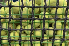 Tennis Balls